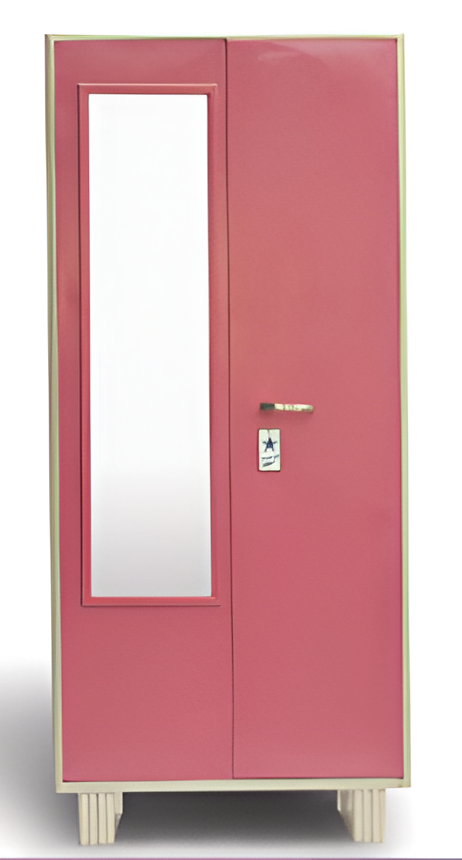 Almirah and Book Case